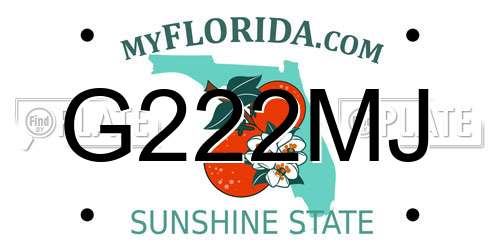 G222MJ Florida License Plate