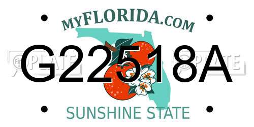 G22518A Florida License Plate
