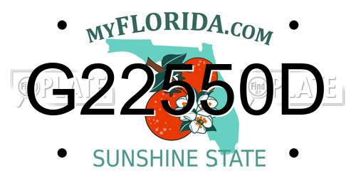 G22550D Florida License Plate