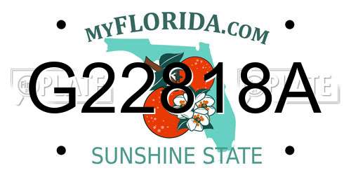 G22818A Florida License Plate