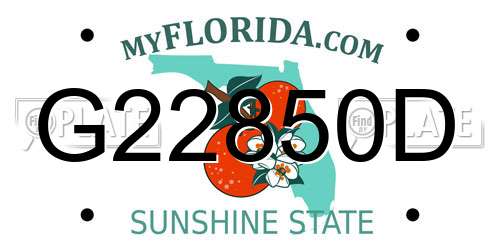 G22850D Florida License Plate
