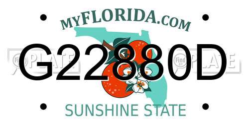 G22880D Florida License Plate