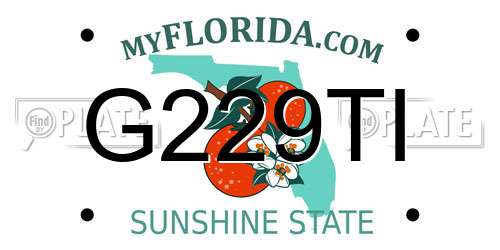 G229TI Florida License Plate