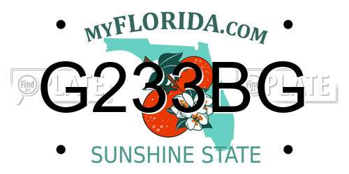 G233BG Florida License Plate
