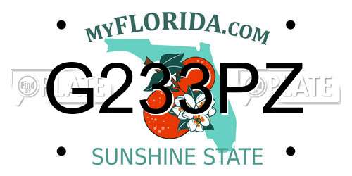 G233PZ Florida License Plate