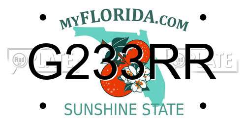 G233RR Florida License Plate