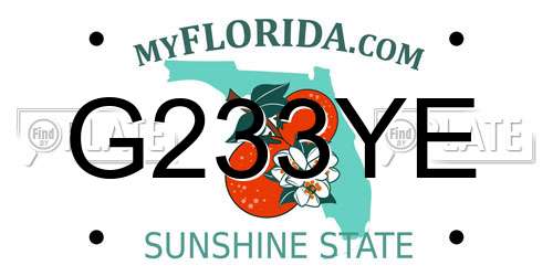 G233YE Florida License Plate