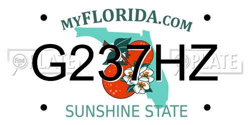 G237HZ Florida License Plate