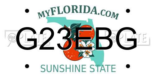 G23EBG Florida License Plate