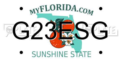 G23ESG Florida License Plate
