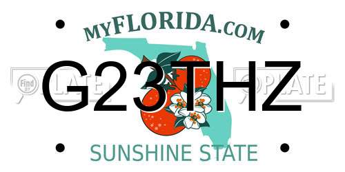 G23THZ Florida License Plate