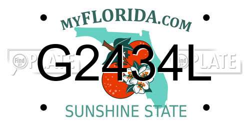 G2434L Florida License Plate