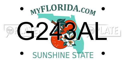 G243AL Florida License Plate