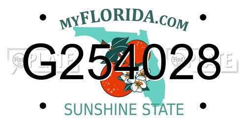 G254028 Florida License Plate