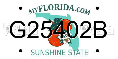 G25402B Florida License Plate
