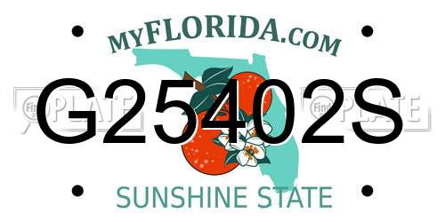 G25402S Florida License Plate