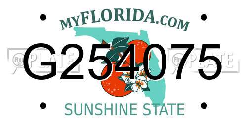 G254075 Florida License Plate