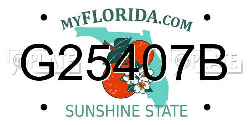 G25407B Florida License Plate