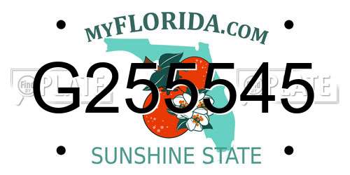 G255545 Florida License Plate