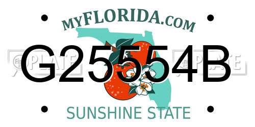 G25554B Florida License Plate
