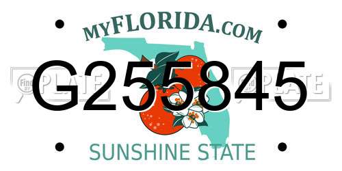 G255845 Florida License Plate