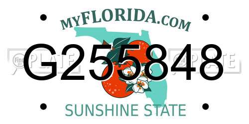 G255848 Florida License Plate