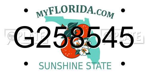G258545 Florida License Plate