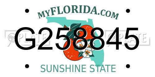 G258845 Florida License Plate