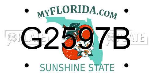 G2597B Florida License Plate