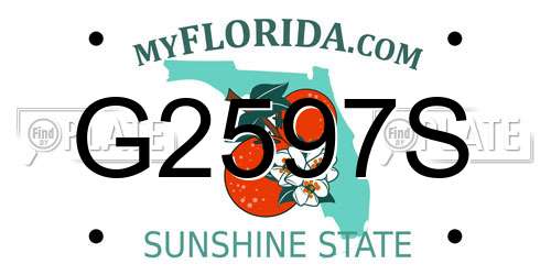 G2597S Florida License Plate