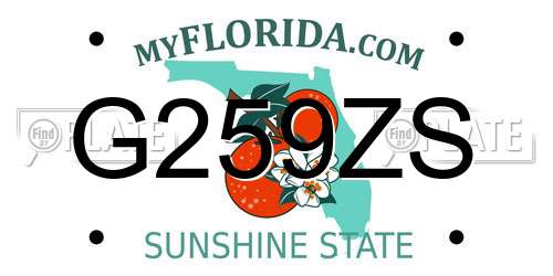 G259ZS Florida License Plate