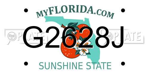 G2628J Florida License Plate