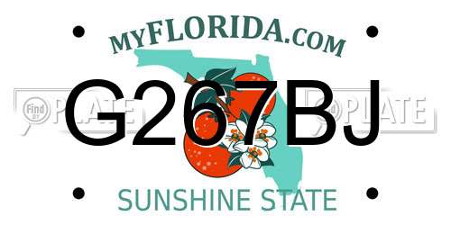 G267BJ Florida License Plate