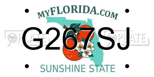 G267SJ Florida License Plate