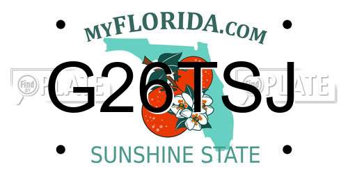G26TSJ Florida License Plate