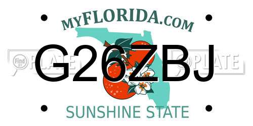 G26ZBJ Florida License Plate