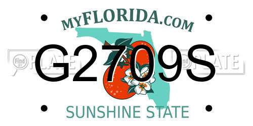 G2709S Florida License Plate