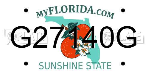 G27140G Florida License Plate