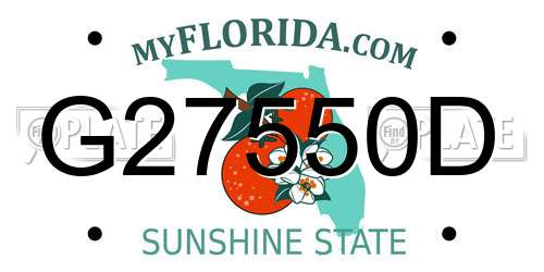 G27550D Florida License Plate