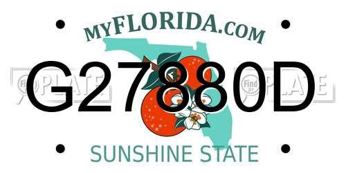 G27880D Florida License Plate