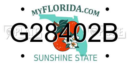 G28402B Florida License Plate