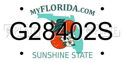 G28402S Florida License Plate