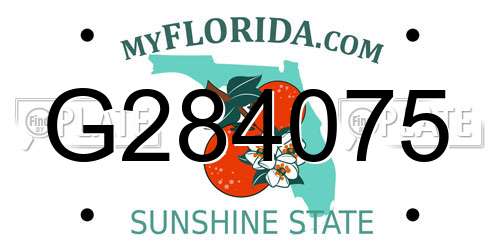 G284075 Florida License Plate