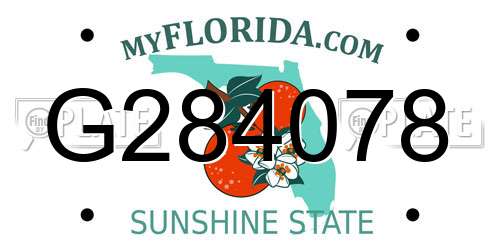G284078 Florida License Plate