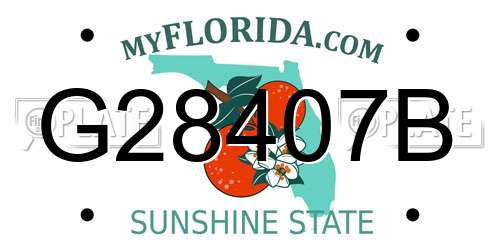 G28407B Florida License Plate
