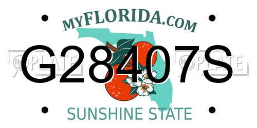 G28407S Florida License Plate