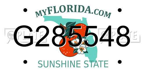 G285548 Florida License Plate