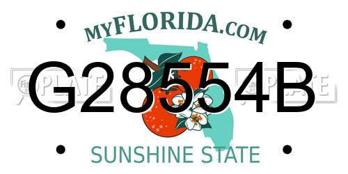 G28554B Florida License Plate