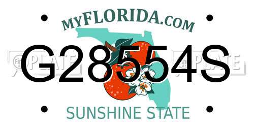 G28554S Florida License Plate