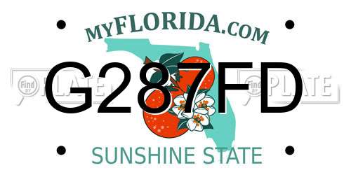 G287FD Florida License Plate